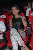 Amala Paul at Iddarammayilatho Audio